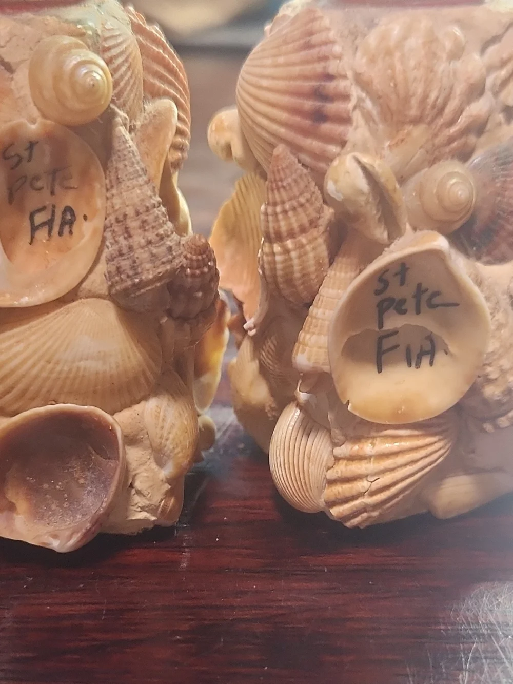N/A charming seashell